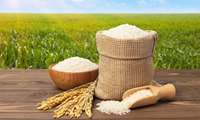 ابلاغ مصوبه قیمت حمایتی برنج کیفی برای سال زراعی 04-1403